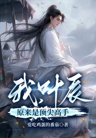 那个叶辰是什么