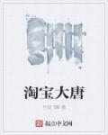 淘宝大唐TXT最新章节列表