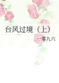 台风过境TXT一零九六