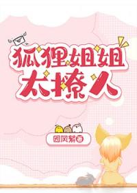 狐狸姐姐太撩人作者因风絮