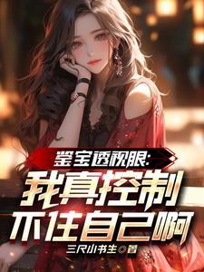 透视眼鉴宝赌石类