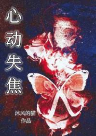 心动失焦沐风全文TXT