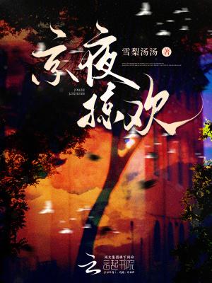 京夜掠欢作者墨宝非宝