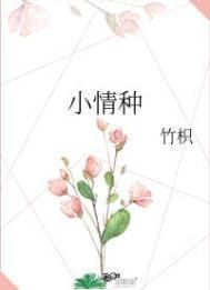 小情种的含义是什么