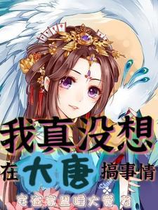 我真没想在大唐搞事情人物