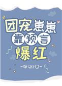 团宠崽崽文推荐完结