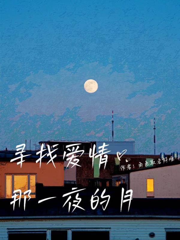 寻找爱情那一页的月光歌词