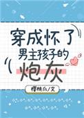 穿成怀了男主孩子的炮灰韩数