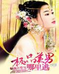 极品美男的 基因