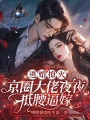炽焰流星TXT笔趣阁